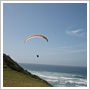 Soaring along dunes next to a beach